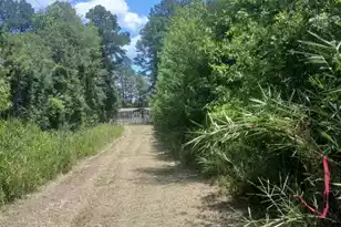 0 Primus Dr Dr, Saint George, SC 29477 - Photo 1