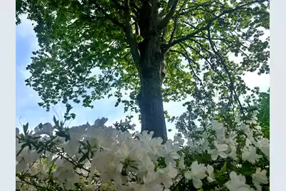 2221 Deadfall Road W, Greenwood, SC 29649 - Photo 58