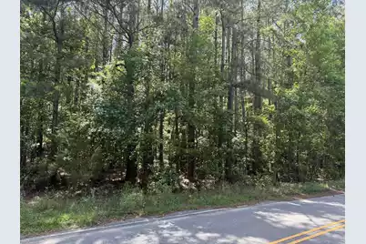 Lot # 01 Clarks Hill Drive, Saint George, SC 29477 - Photo 2