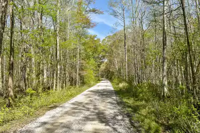 4855 Retriever Road, Wadmalaw Island, SC 29487 - Photo 66