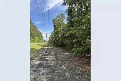 1-A Mt. Carmel Road, Walterboro, SC 29488 - Photo 4