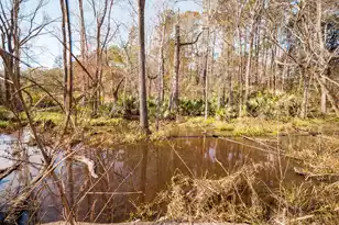 4294 River Rd, Johns Island, SC 29455 - Photo 14