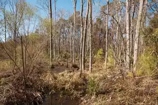 4294 River Rd, Johns Island, SC 29455 - Photo 18