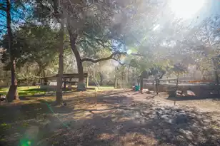 4294 River Rd, Johns Island, SC 29455 - Photo 56