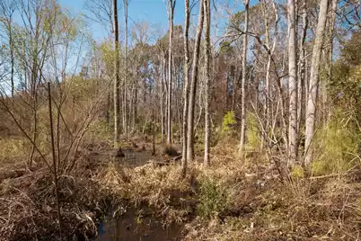 4294 River Road, Johns Island, SC 29455 - Photo 18