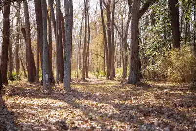 4294 River Road, Johns Island, SC 29455 - Photo 26
