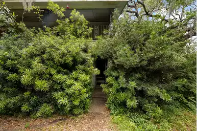 2180 Wappoo Hall Road, Charleston, SC 29412 - Photo 4