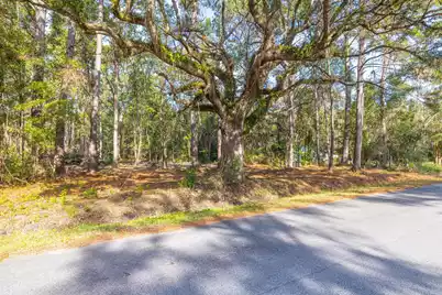 0 Dupre Road, McClellanville, SC 29458 - Photo 4