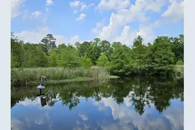 141 Woodlake Drive, Manning, SC 29102 - Photo 10