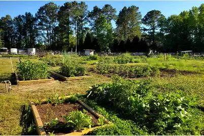 141 Woodlake Drive, Manning, SC 29102 - Photo 26