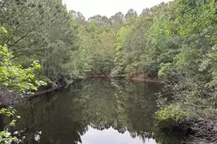 351 Duncan Chapel Rd, Harleyville, SC 29448 - Photo 10