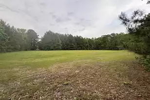 351 Duncan Chapel Rd, Harleyville, SC 29448 - Photo 82