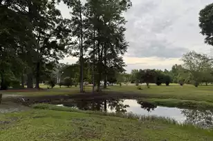 351 Duncan Chapel Rd, Harleyville, SC 29448 - Photo 88