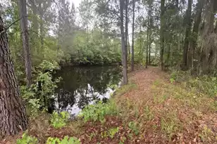 351 Duncan Chapel Rd, Harleyville, SC 29448 - Photo 78