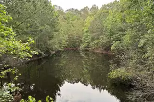 351 Duncan Chapel Rd, Harleyville, SC 29448 - Photo 76