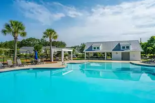 201 Bigleaf Ct, Summerville, SC 29486 - Photo 60