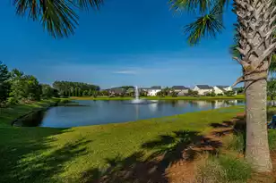 201 Bigleaf Ct, Summerville, SC 29486 - Photo 64