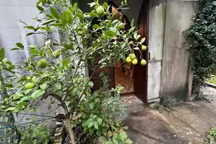 81 Rutledge Ave, Charleston, SC 29401 - Photo 98