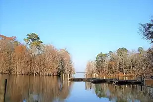 202 Trillium Ct, Santee, SC 29142 - Photo 28