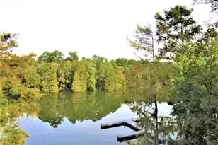 202 Trillium Ct, Santee, SC 29142 - Photo 32