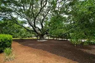 2213 Rolling Dune Rd, Seabrook Island, SC 29455 - Photo 70