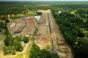 1116 Mulligan Dr, Manning, SC 29102 - Photo 20