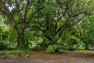 725 Hildebrand Dr, Bonneau, SC 29431 - Photo 8