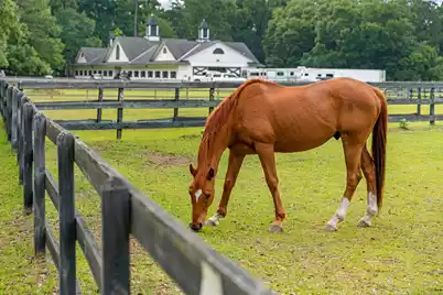 5195 Forest Oaks Drive, Hollywood, SC 29449 - Photo 30