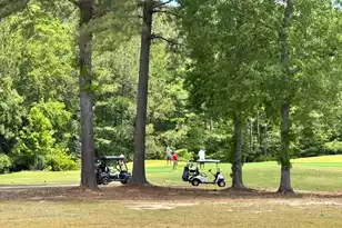 1000 Carolina Way, Manning, SC 29102 - Photo 42