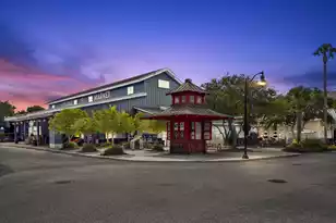 6002 Green Dolphin Way, Kiawah Island, SC 29455 - Photo 46