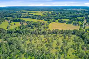 481 Cantey Ln, Camden, SC 29020 - Photo 128