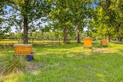 481 Cantey Lane, Camden, SC 29020 - Photo 82