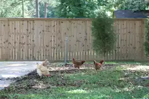 127 Roberts Rd, Summerville, SC 29483 - Photo 32