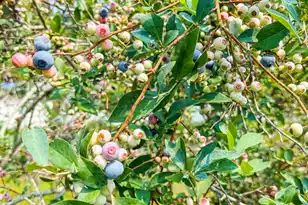 127 Roberts Rd, Summerville, SC 29483 - Photo 2