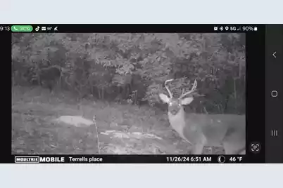 0 Glen Street, Walterboro, SC 29488 - Photo 2