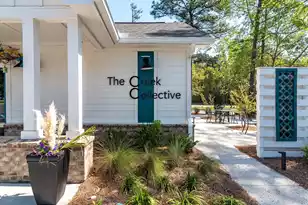 422 Duskywing Dr, Goose Creek, SC 29445 - Photo 44