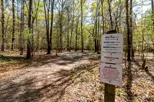 422 Duskywing Dr, Goose Creek, SC 29445 - Photo 40