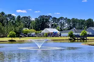 3006 Central Ring Ct, Ridgeville, SC 29472 - Photo 38