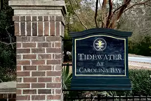 3012 Candela Grove Dr, Charleston, SC 29414 - Photo 42