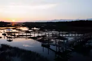 3902 Summerton St, Mount Pleasant, SC 29466 - Photo 50