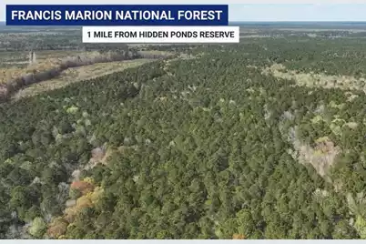 1175 Reserve Lane, Awendaw, SC 29429 - Photo 48