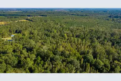 0 Half Acre Court, Vance, SC 29163 - Photo 6