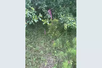 4798 Reggie Road, Johns Island, SC 29455 - Photo 12