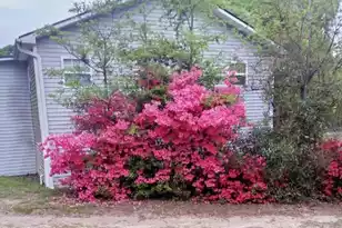 1201 Crescent St, Summerton, SC 29148 - Photo 4