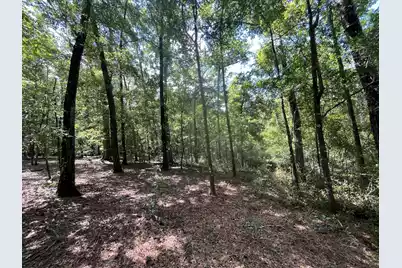 O Cobb Ct Interior Parcel, Walterboro, SC 29488 - Photo 6