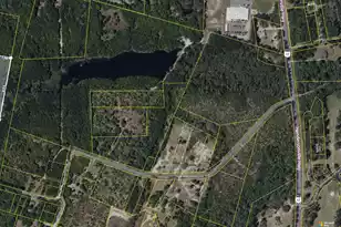 O Cobb Ct Interior Parcel, Walterboro, SC 29488 - Photo 1