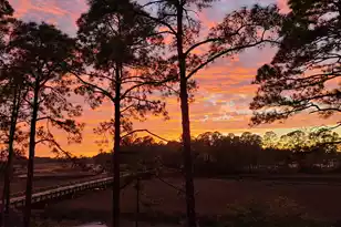 79 Trailing Vine Wy, Kiawah Island, SC 29455 - Photo 10