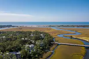 79 Trailing Vine Wy, Kiawah Island, SC 29455 - Photo 6