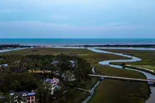 79 Trailing Vine Wy, Kiawah Island, SC 29455 - Photo 104
