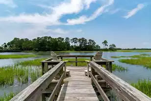 79 Trailing Vine Wy, Kiawah Island, SC 29455 - Photo 44